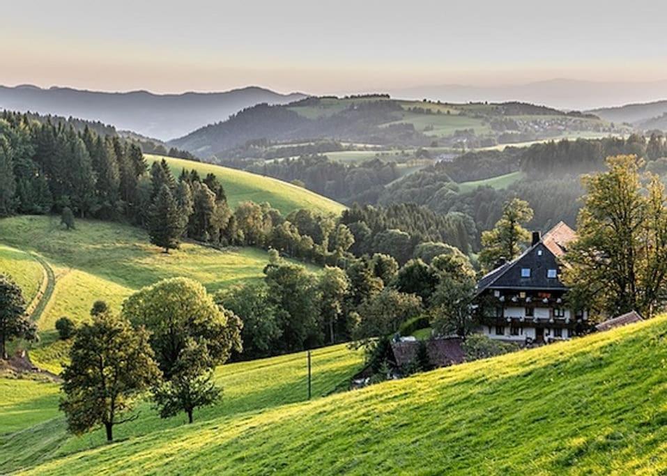 Ferienwohnung Niki Titisee-Neustadt Exterior foto